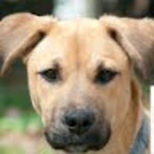 Meet your Posher, Corrina